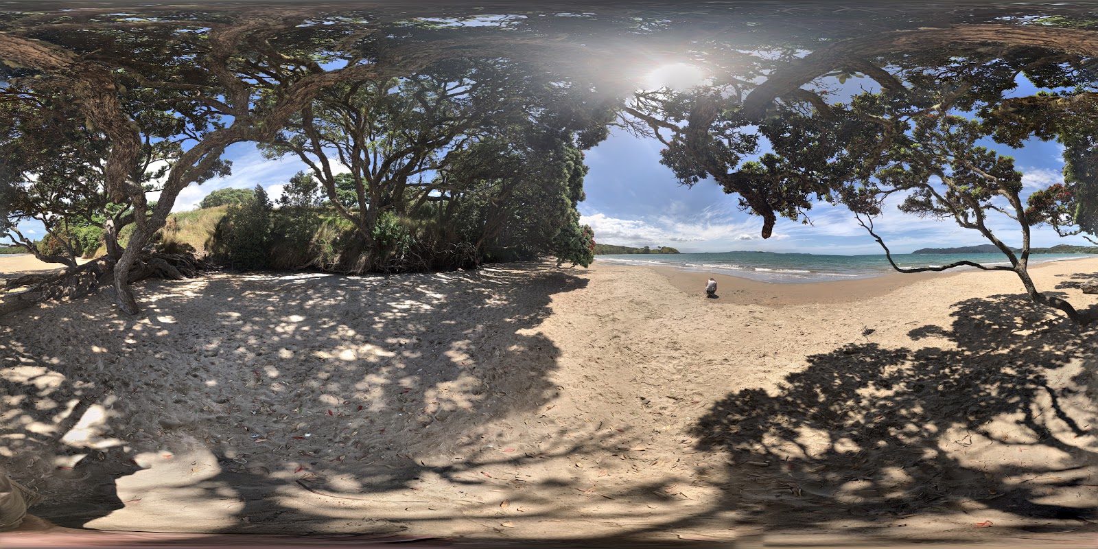 Foto di Coopers Beach - luogo popolare tra gli intenditori del relax