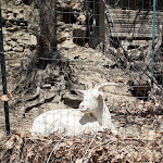 Photo n°6 de l'avis de Rosalba.i fait le 29/04/2022 à 11:28 sur le  La Ca' dell'Alpe à Rialto