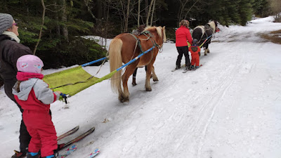 Ski joering Chabanon Selonnet à Selonnet