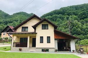 Casa de vacanță "Dana" image