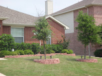 The Lawn Andy - Photo 8 - Car repair in , Fort Worth