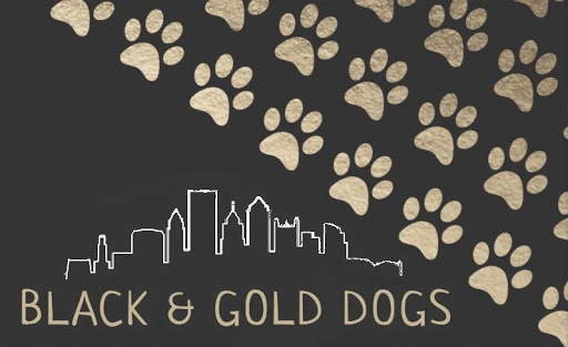 Black & Gold Dogs