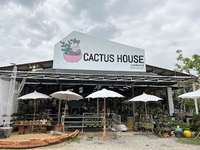 Cactus House