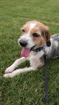 Foundations Animal Hospital - Photo 4 - Car repair in Jonesborough, TN, Kingsport