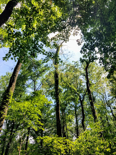 Nature Preserve «Meltzer Woods», reviews and photos, 1522 S 600 E, Shelbyville, IN 46176, USA