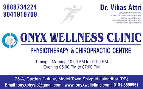 Onyx Wellness Clinic, Physiotherapy & Chiropractic Centre image