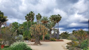 Fullerton Arboretum - photo 8