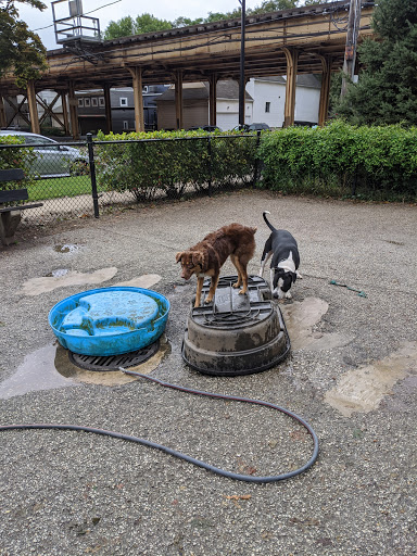 Dog Park «Wiggly Field Dog Friendly Area», reviews and photos, 2645 N Sheffield Ave, Chicago, IL 60614, USA