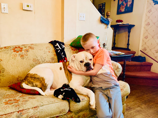 Pet Supply Store «Pet Supplies Plus», reviews and photos, 2410 Laporte Ave, Valparaiso, IN 46383, USA