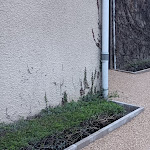 Photo n° 3 de l'avis de Marco.a fait le 03/04/2024 à 16:08 pour Daniel Moquet signe vos allées - Ent. Tillier à Gevrey-Chambertin