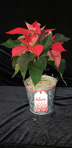 Florist «The Flower Box», reviews and photos, 910 Martin Luther King St, Georgetown, TX 78626, USA