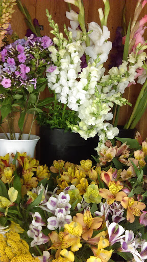 Florist «Flowers By Reni», reviews and photos, 45 Jackson St, Fishkill, NY 12524, USA