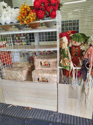 Craft Store «Michaels», reviews and photos, 120 Dorman Centre Dr i, Spartanburg, SC 29301, USA