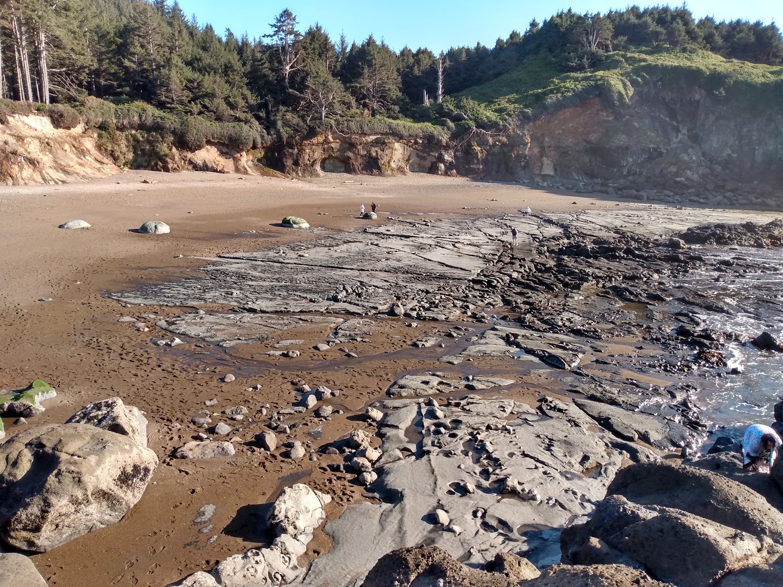 Photo of Fogarty Creek Beach backed by cliffs