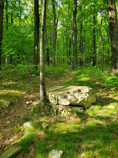 Appalachian Trail trailhead