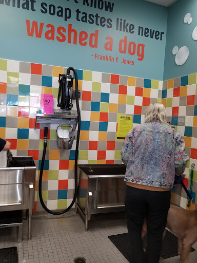 Pet Supply Store «Petco Animal Supplies», reviews and photos, 8809 Lakeview Pkwy #116, Rowlett, TX 75088, USA