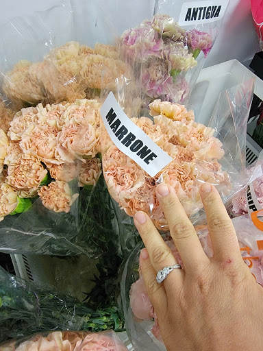 Florist «Botanica Wholesale Florist», reviews and photos, 3208 International Pl, Irving, TX 75062, USA