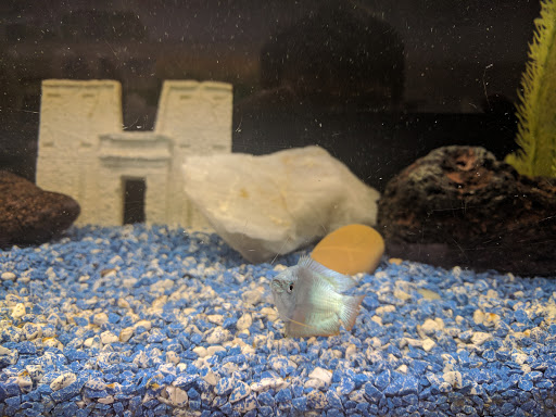 Pet Store «The Pet Pad», reviews and photos, 1239 NW Maynard Rd, Cary, NC 27513, USA