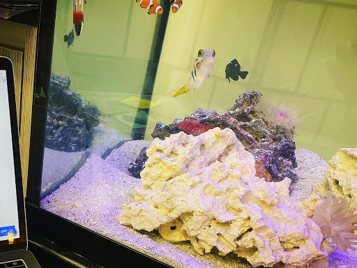 Explore hairdresser tattoo ideas, creative tattoo ideas in Cary, available at Fine Art Body Piercing By Lilith Mae