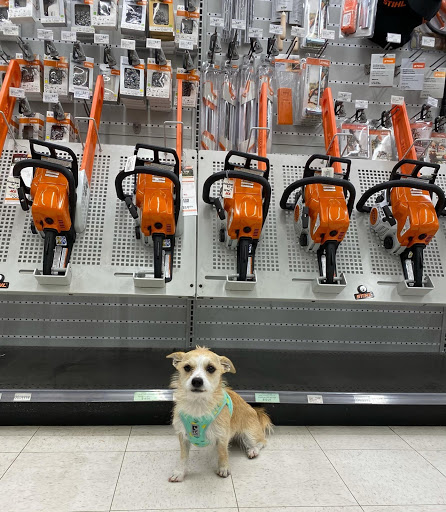 Hardware Store «Frontier Ace Hardware», reviews and photos, 725 Apache Trail #3B, Apache Junction, AZ 85120, USA