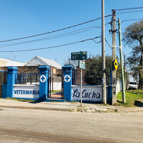Veterinaria La Cucha - Ciudad de la Costa