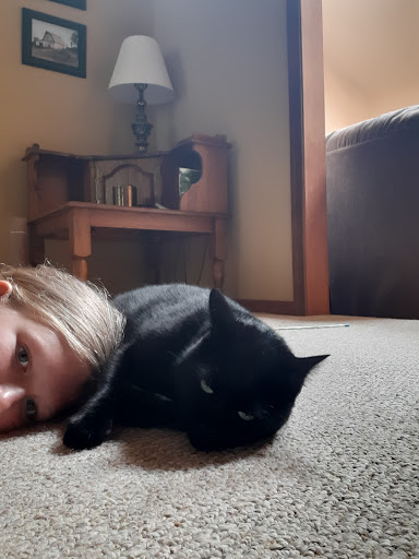 Animal Shelter «Humane Society of Ocean City», reviews and photos, 1 Shelter Rd, Ocean City, NJ 08226, USA