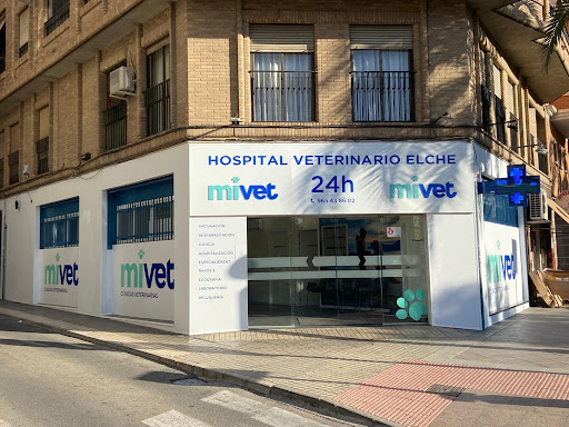 Hospital Veterinario Elche | Mivet