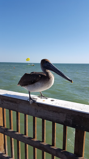 Tattoo Shop «Times Square Tattoo», reviews and photos, 959 Estero Blvd, Fort Myers Beach, FL 33931, USA