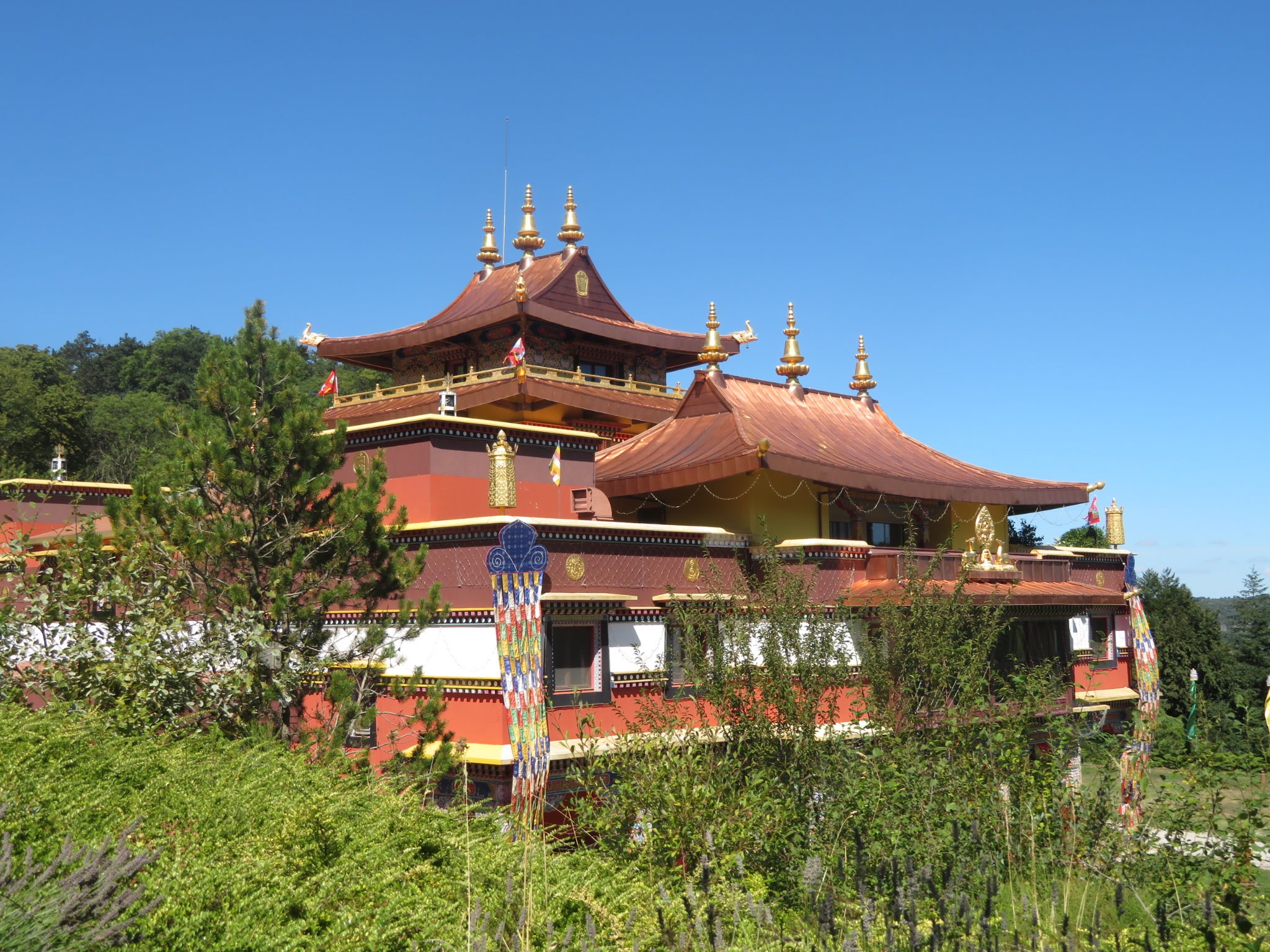 Photo n° 5 de l'avis de Marie.l fait le 20/09/2020 à 20:37