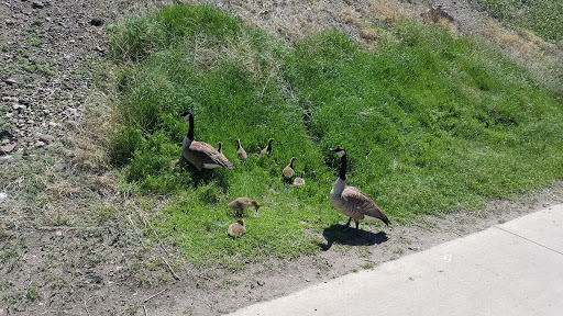 Park «City of Cuernavaca Park», reviews and photos, 3500 Rockmont Dr, Denver, CO 80202, USA