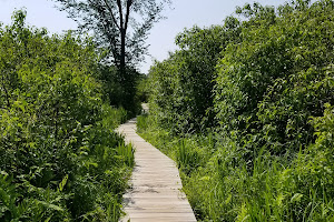 Little Pond Boardwalk Trail