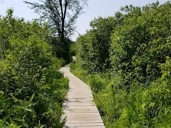 Little Pond Boardwalk Trail