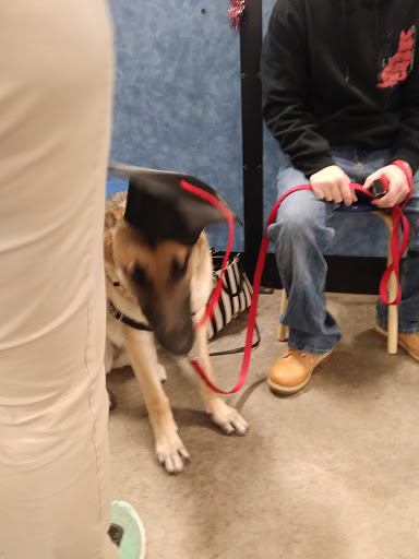 Pet Supply Store «PetSmart», reviews and photos, 475 Bank St, Waterbury, CT 06708, USA