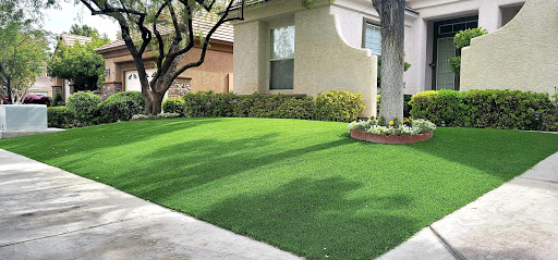 Paradise lawn and putting greens - artificial grass