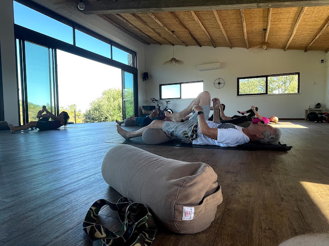 Wild View Retreat - Aulas de Yoga