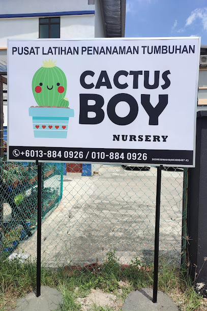 Cactus Boy Nursery