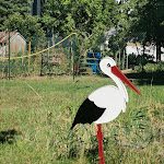 Photo n° 5 de l'avis de Karin.u fait le 17/07/2022 à 21:42 pour Parc à cigognes à Eguisheim