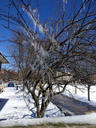 Park «Independence Park», reviews and photos, 3945 N Springfield Ave, Chicago, IL 60618, USA