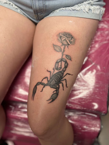 Explore tattoo ideas peacock, creative tattoo ideas in Marshall, available at Vixens Ink & Beauty