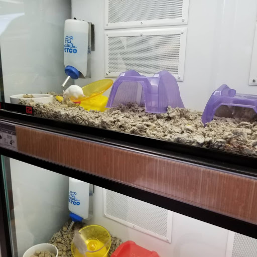 Pet Supply Store «Petco Animal Supplies», reviews and photos, 9078 SE Sunnyside Rd, Clackamas, OR 97015, USA