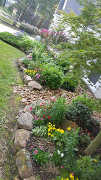 Leonel Martinez Landscaping - Photo 5 - Car repair in , The Woodlands