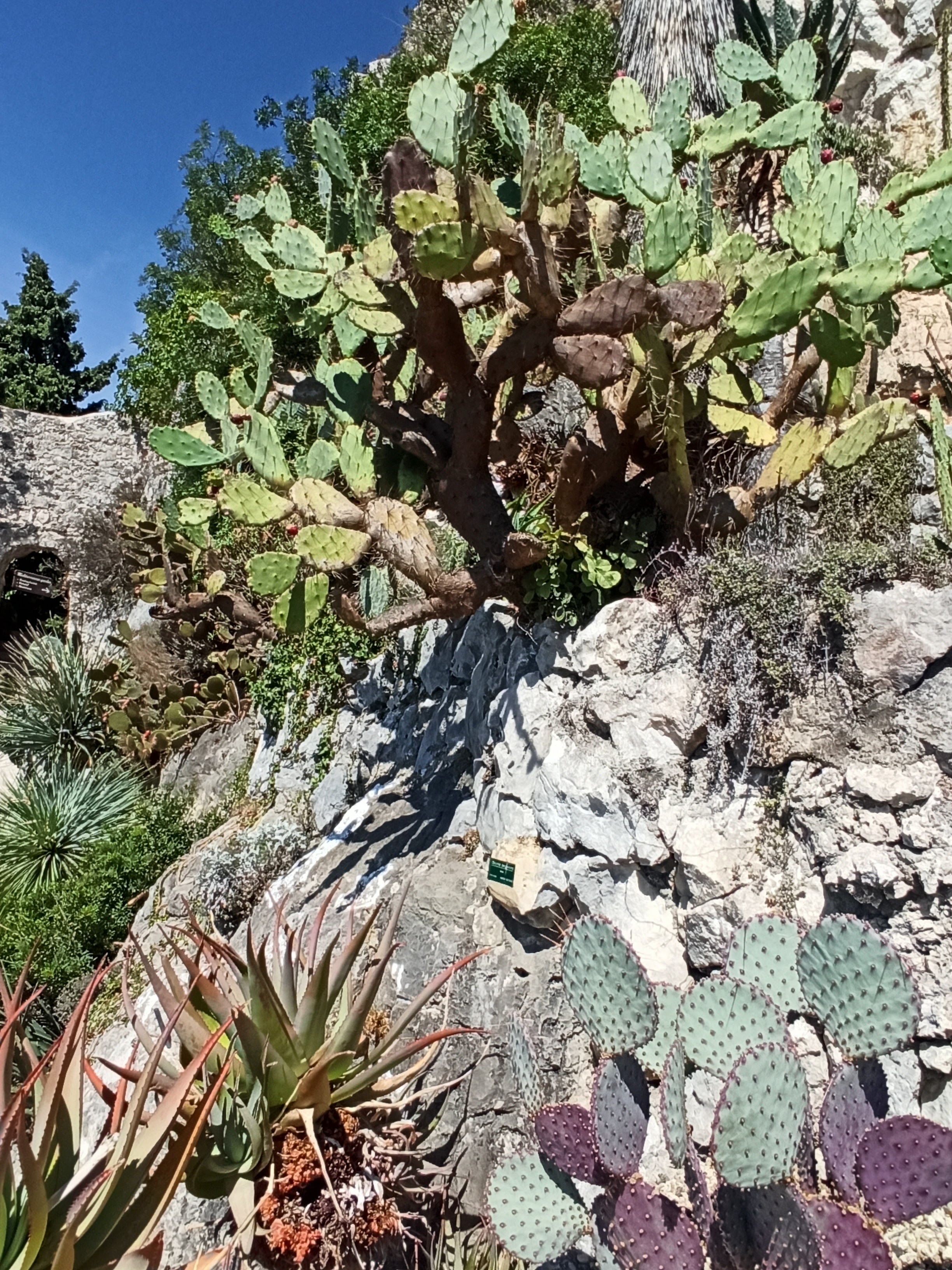 Photo n° 4 de l'avis de Valérie.o fait le 07/09/2022 à 14:49