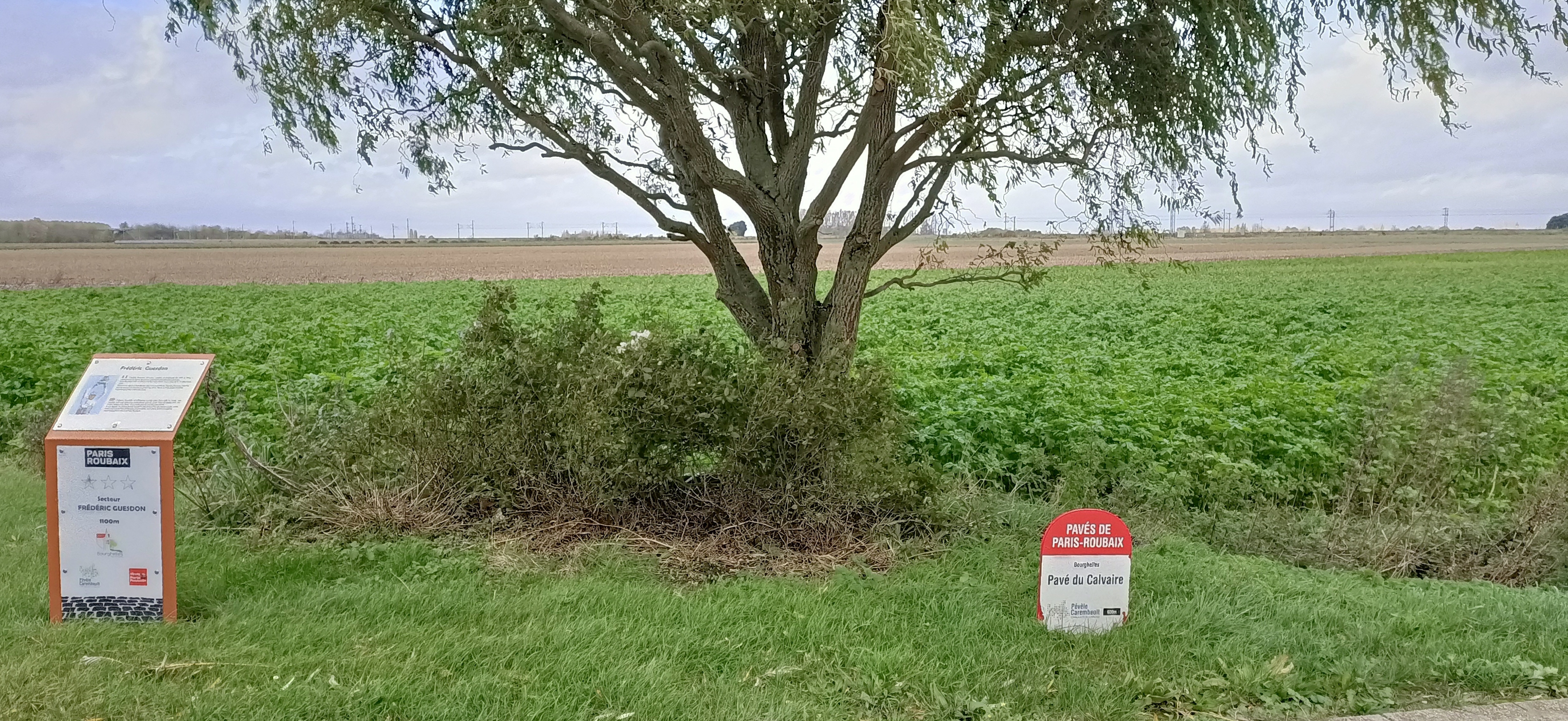 Photo n° 2 de l'avis de Philippe.e fait le 10/11/2023 à 14:49