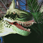 Photo n° 6 de l'avis de Barbara.o fait le 27/09/2020 à 11:14 pour Parc des Expositions de Cholet, La Meilleraie à Cholet