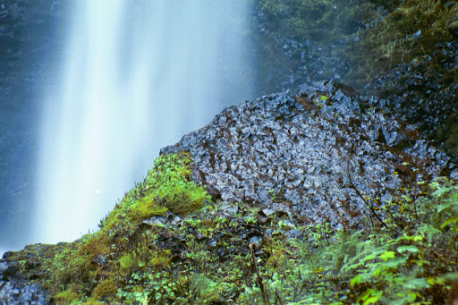 Waterfall «Horsetail Falls», reviews and photos, Historic Columbia River Hwy, Cascade Locks, OR 97014, USA