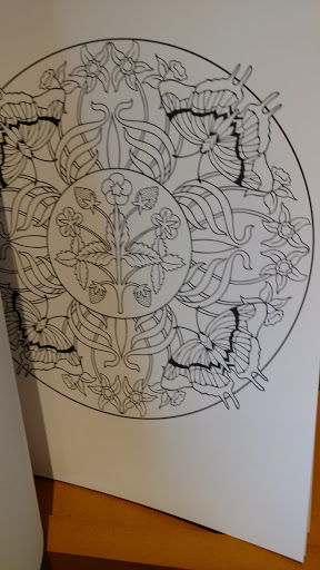 Book Store «Barnes & Noble», reviews and photos, 7663 Mall Rd, Florence, KY 41042, USA