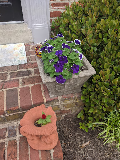 Pet Supply Store «PetSmart», reviews and photos, 3670 Von Schilling Dr, Hampton, VA 23666, USA