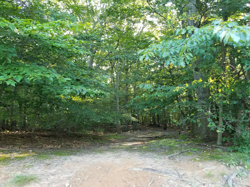 Park «Beech Woods Park», reviews and photos, 137 Beekman Rd, Kendall Park, NJ 08824, USA