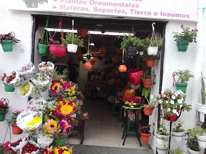 Tienda de regalos