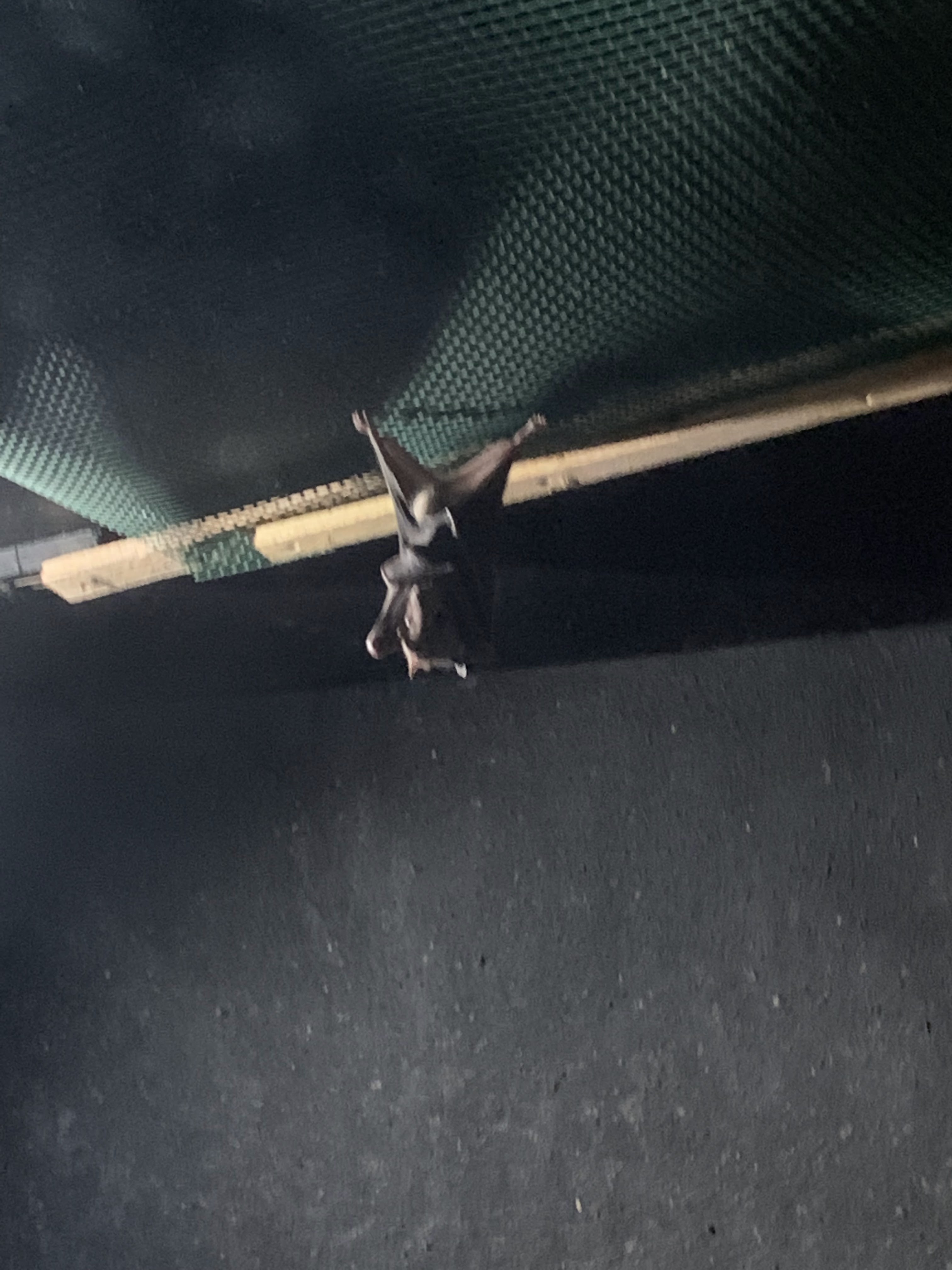 Photo n° 3 de l'avis de Tiffany.e fait le 21/08/2019 à 15:49